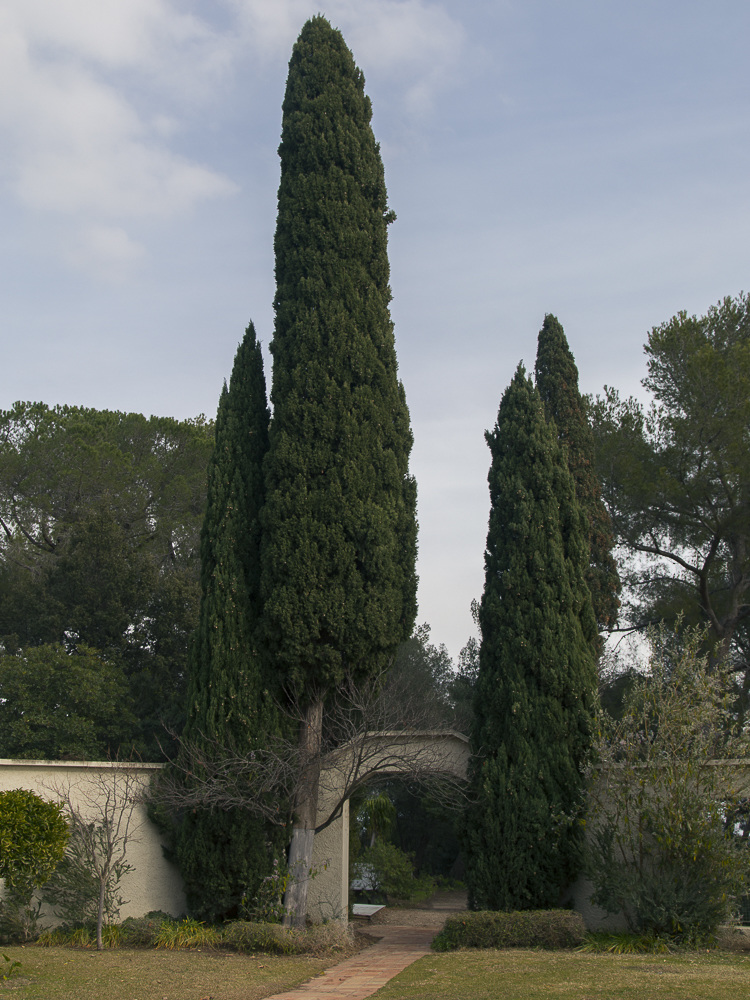 Romain Laprade Another Something